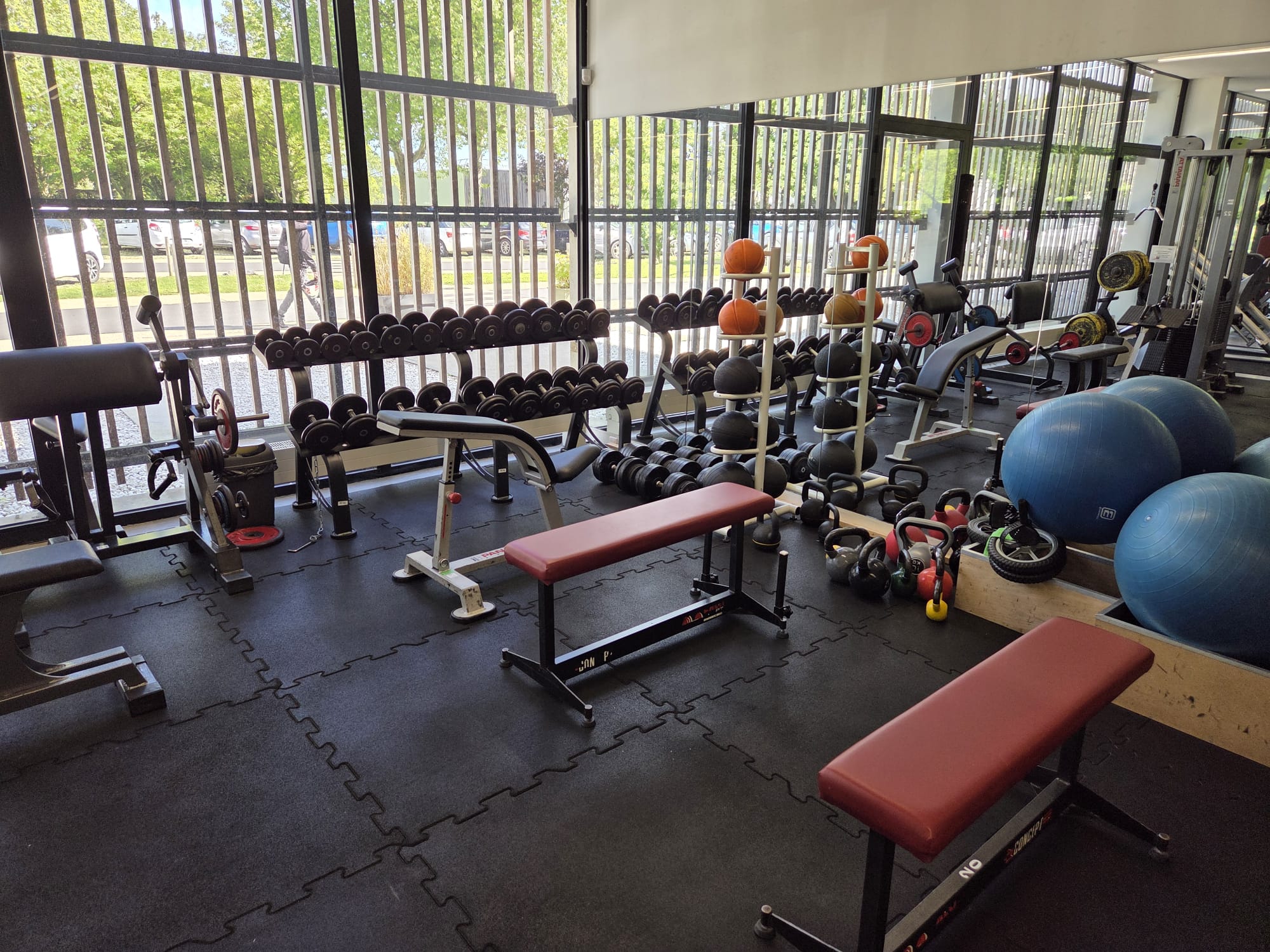 Free weights