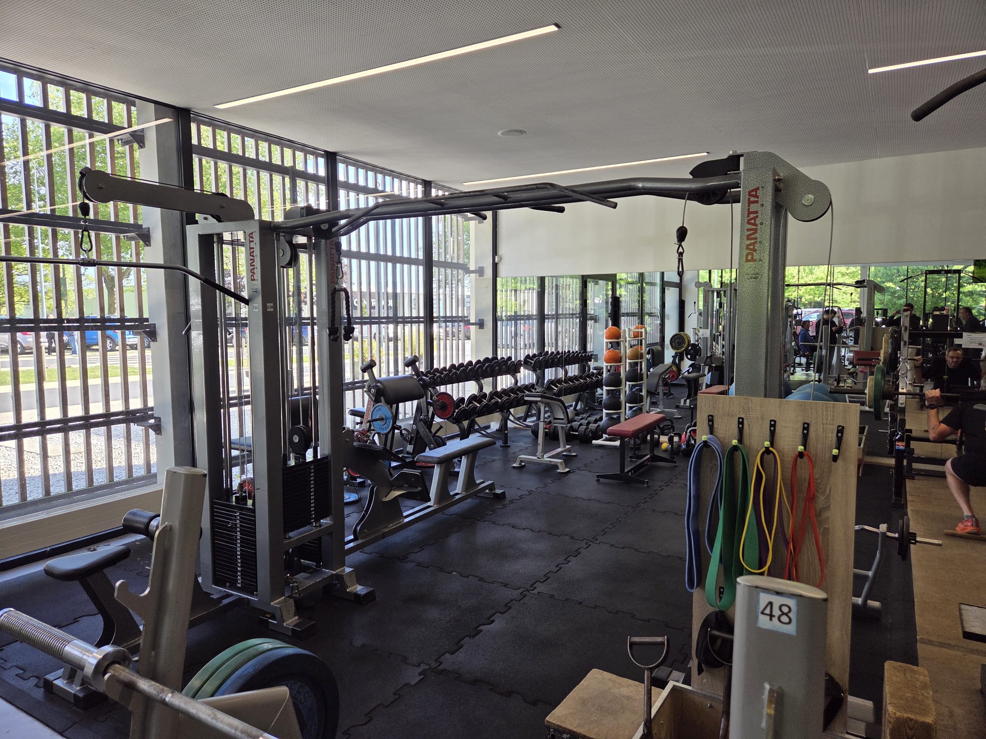 Zone musculation