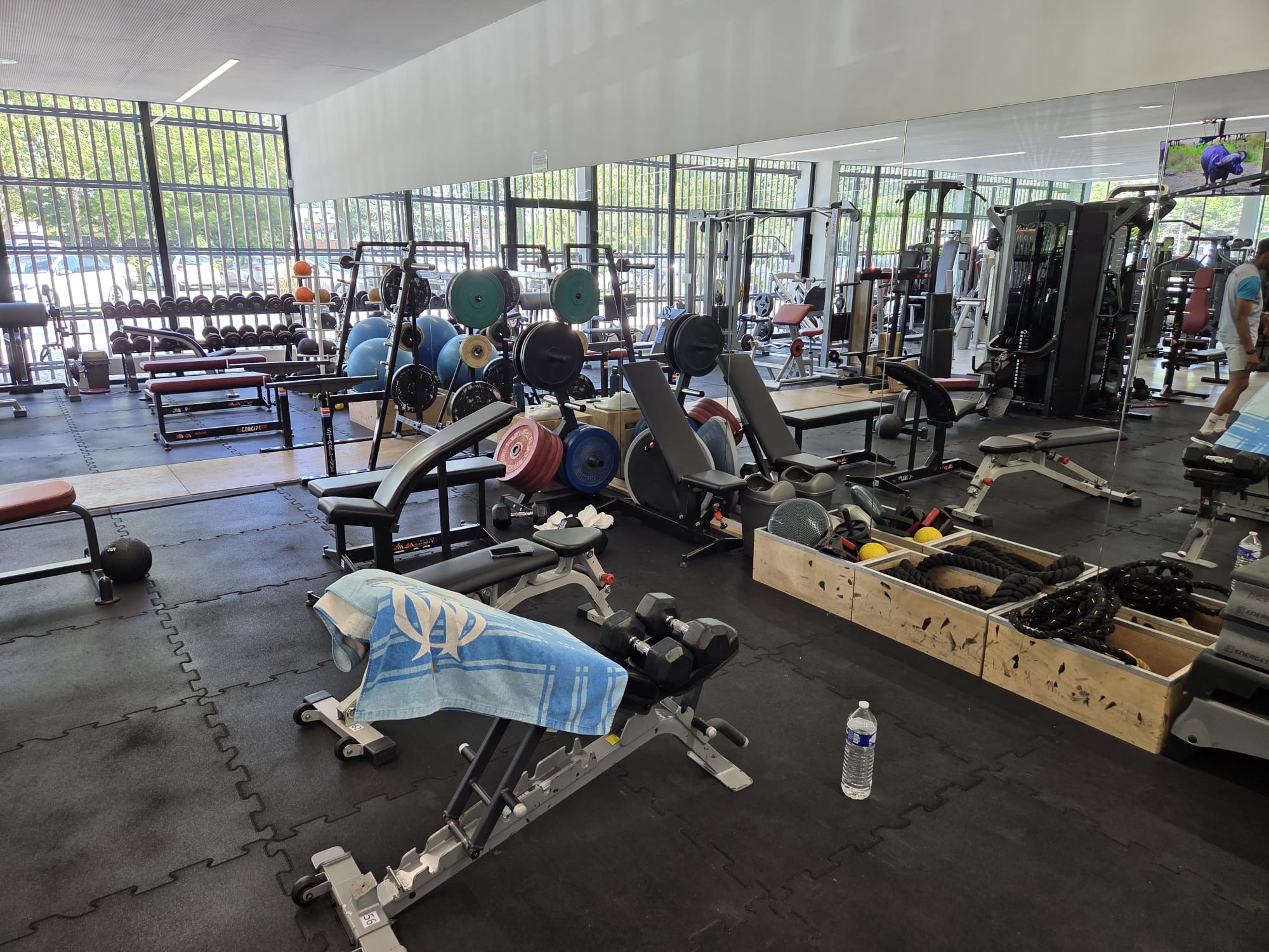 Espace musculation